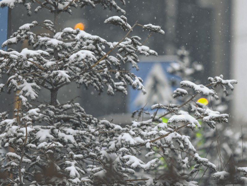 Улаанбаатарт өдөртөө 7 хэм хүйтэн